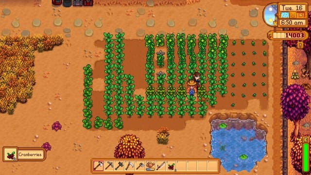 Harvesting Cranberries in the Fall in Stardew Valley