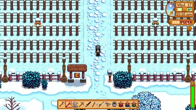 Entering Blue Moon Vineyard, one of the new locations in Stardew Valley Expanded.
