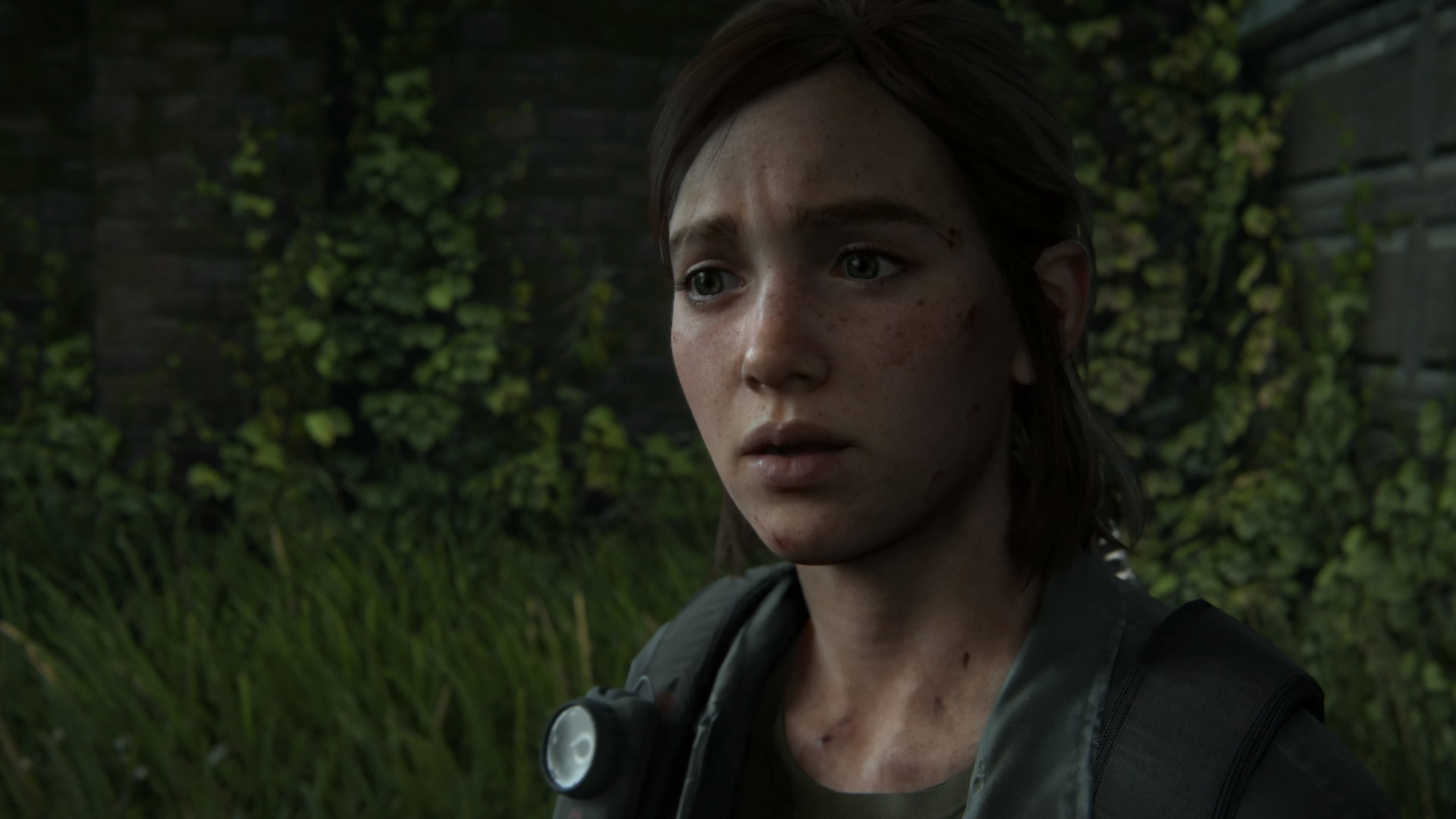The Last of Us 2 Release Date is Here and OH THAT'S A LOT ...